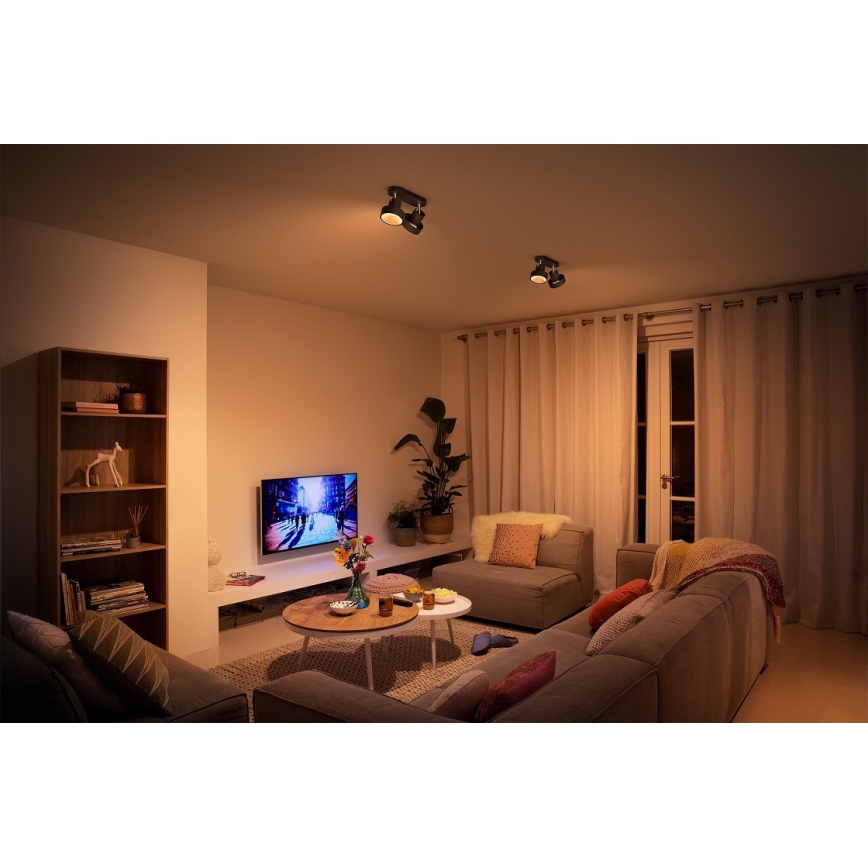 Philips 50602/30/P0 - LED Димерний точковий світильник BUKKO 2xLED/4,5W/230V