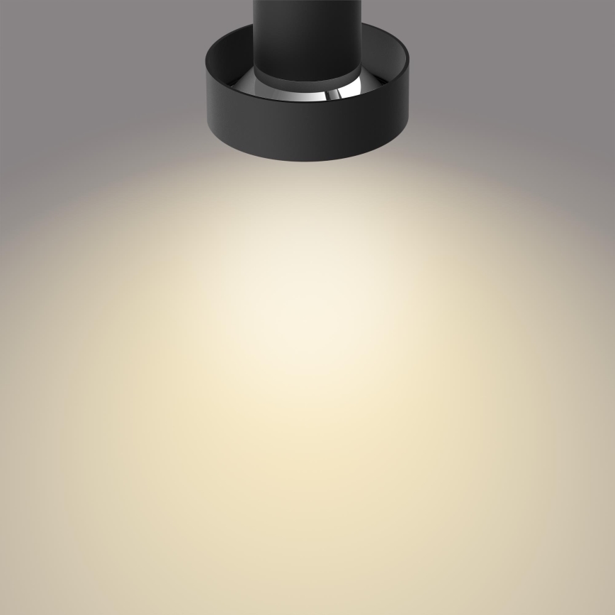 Philips 50602/30/P0 - LED Димерний точковий світильник BUKKO 2xLED/4,5W/230V