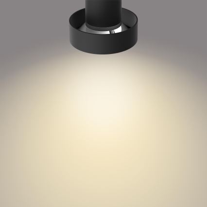 Philips 50602/30/P0 - Светодиодный точечный светильник с регулированием яркости BUKKO 2xLED/4,5W/230V