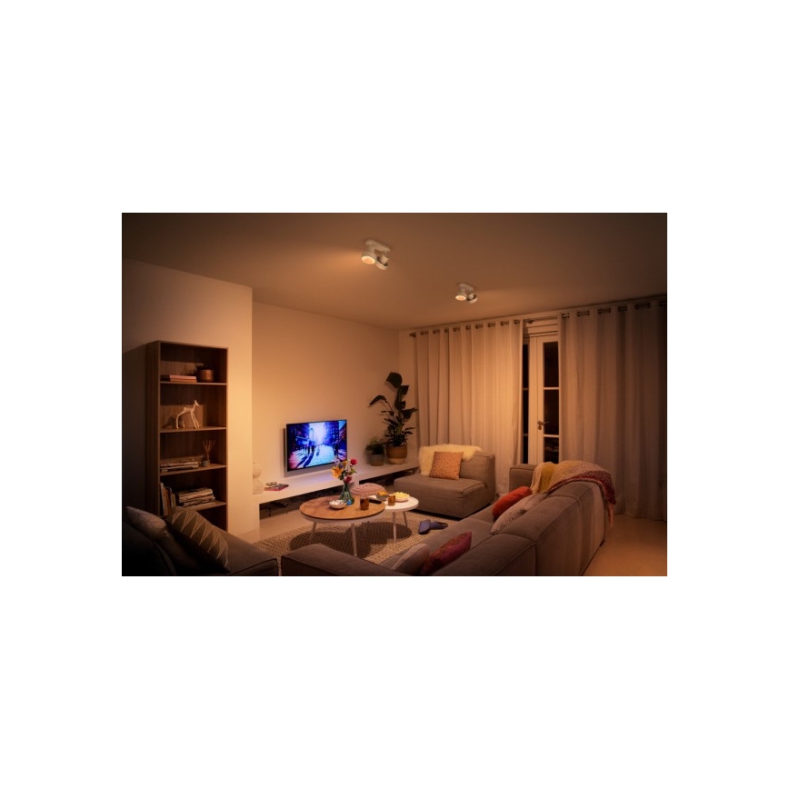 Philips 50602/31/P0 - Точковий LED світильник BUKKO 2xLED/4,5W/230V