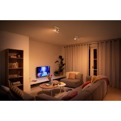 Philips 50602/31/P0 - Точковий LED світильник BUKKO 2xLED/4,5W/230V
