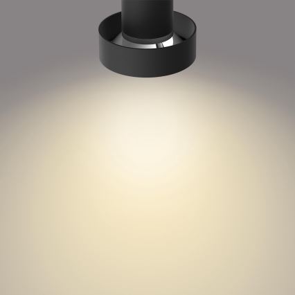 Philips 50603/30/P0 - LED Димерний точковий світильник BUKKO 3xLED/4,3W/230V
