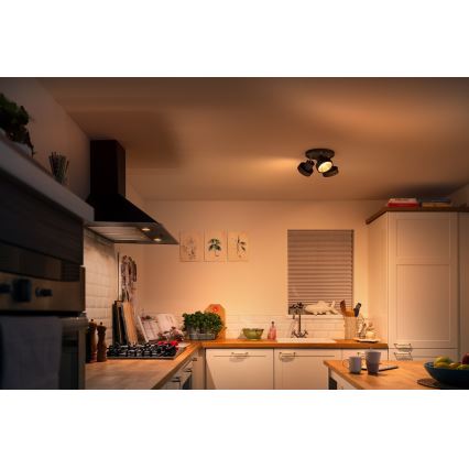 Philips 50603/30/P0 - LED Димерний точковий світильник BUKKO 3xLED/4,3W/230V
