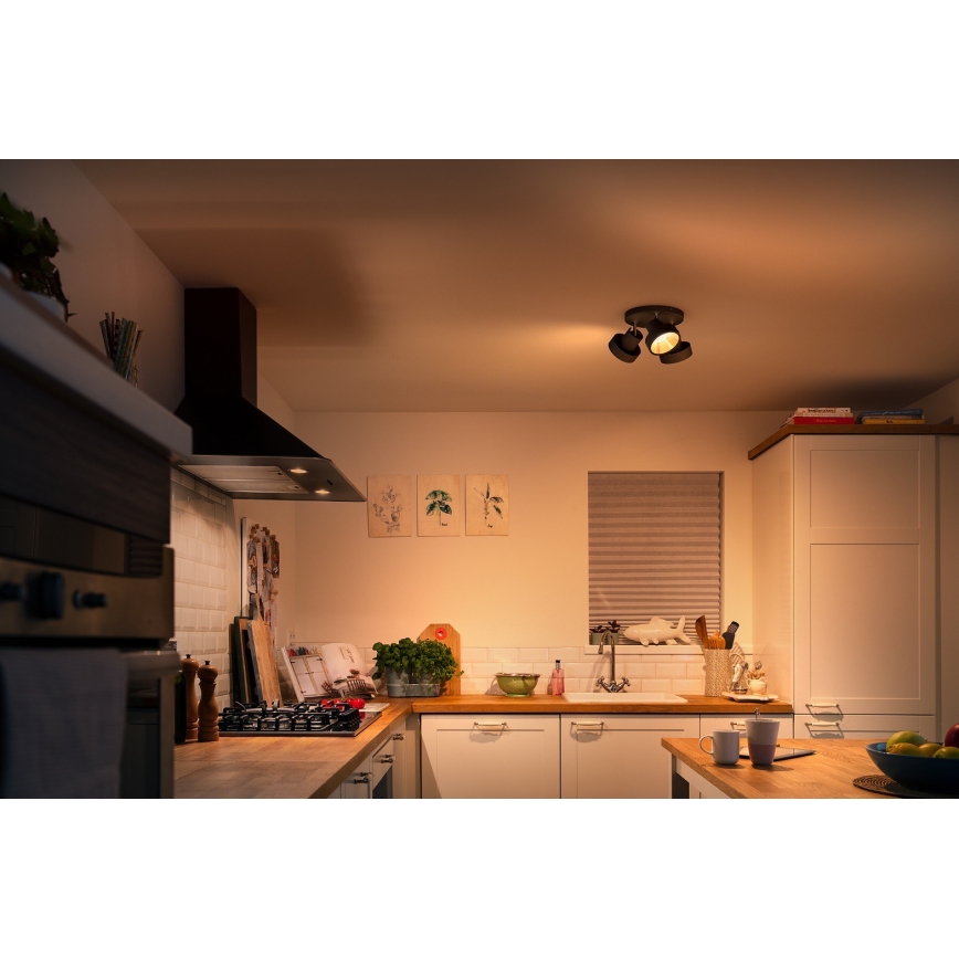 Philips 50603/30/P0 - Светодиодный точечный светильник с регулированием яркости BUKKO 3xLED/4,3W/230V
