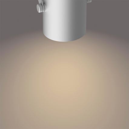 Philips 50662/14/P0 - Світлодіодний точковий світильник BYRE 2xLED/4,3W/230V 2200/2500/2700K