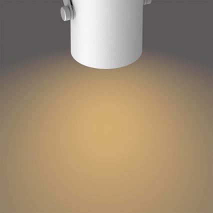 Philips - Светодиодный точечный светильник 2xLED/4,3W/230V 2200/2500/2700K
