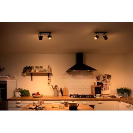 Philips - Точковий LED світильник з регулюванням яскравості 2xLED/4.5W/230V