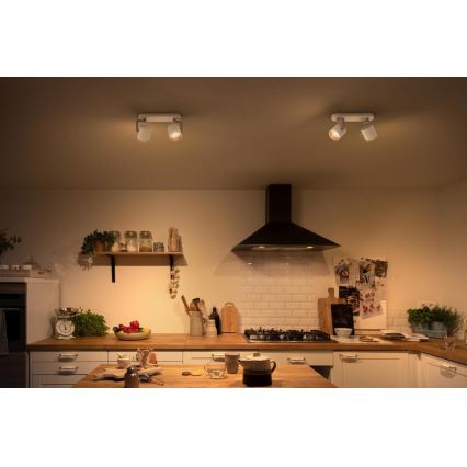 Philips - Точковий LED світильник з регулюванням яскравості 2xLED/4.5W/230V