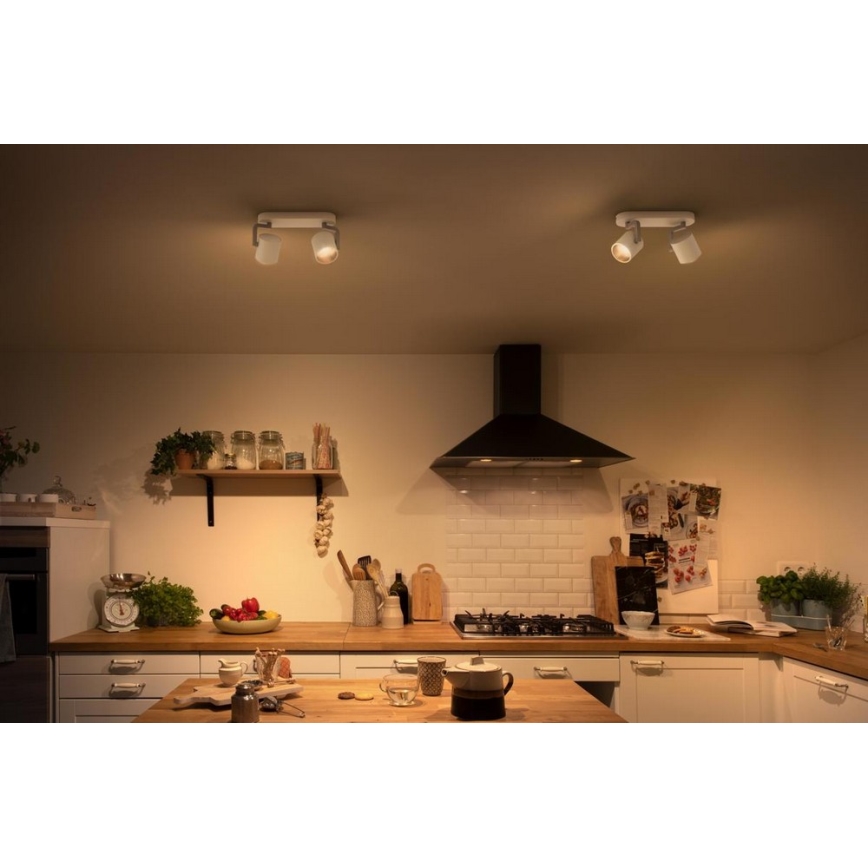 Philips - Точковий LED світильник з регулюванням яскравості 2xLED/4.5W/230V