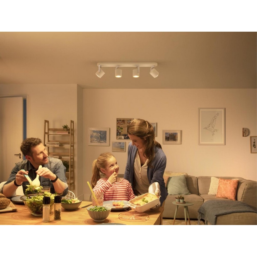 Philips - Світлодіодний точковий світильник з регульованою яскравістю 4xLED/4.5W/230V