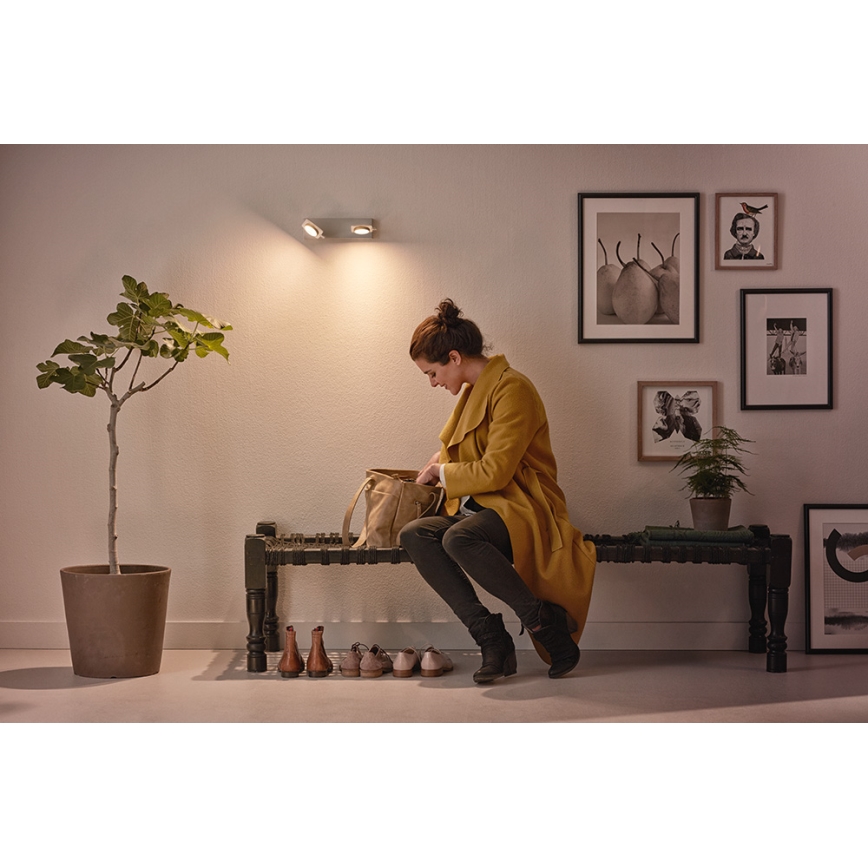 Philips 53192/48/P0 - Светодиодный прожектор MILLENNIUM 2xLED/4,5W/230V