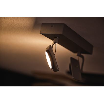 Philips 53192/48/P0 - Точковий LED світильник MILLENNIUM 2xLED/4,5W/230V