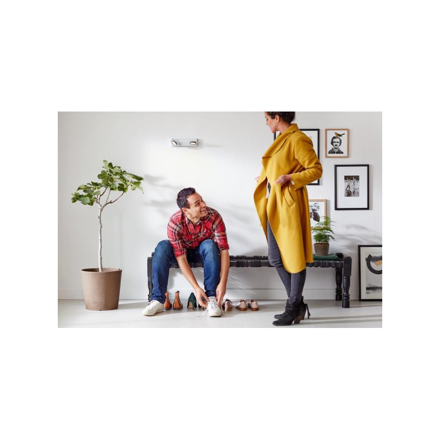 Philips 53192/48/P0 - Точковий LED світильник MILLENNIUM 2xLED/4,5W/230V