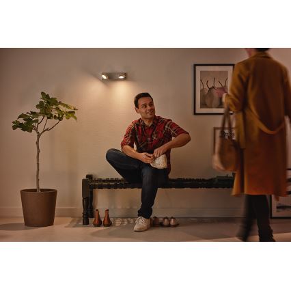 Philips 53192/48/P0 - Точковий LED світильник MILLENNIUM 2xLED/4,5W/230V