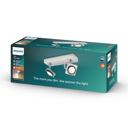 Philips 53192/48/P0 - Точковий LED світильник MILLENNIUM 2xLED/4,5W/230V