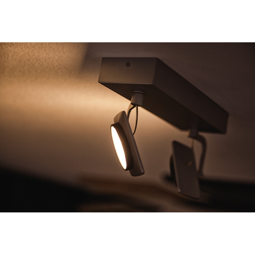 Philips 53192/48/P0 - Точковий LED світильник MILLENNIUM 2xLED/4,5W/230V
