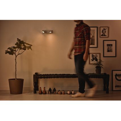 Philips 53192/48/P0 - Точковий LED світильник MILLENNIUM 2xLED/4,5W/230V