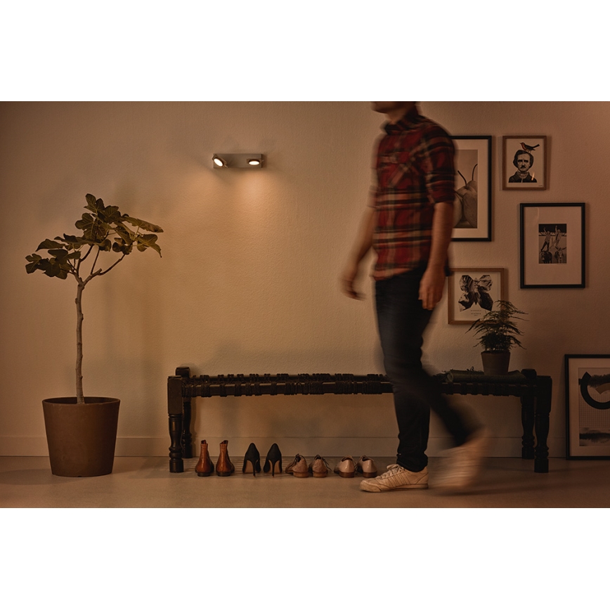 Philips 53192/48/P0 - Точковий LED світильник MILLENNIUM 2xLED/4,5W/230V
