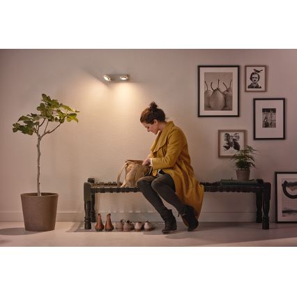 Philips 53192/48/P0 - Точковий LED світильник MILLENNIUM 2xLED/4,5W/230V