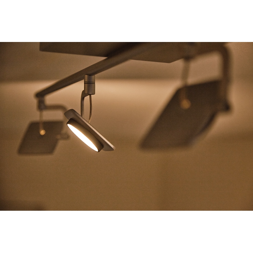 Philips 53194/48/P0 - Точковий LED світильник MILLENNIUM 4xLED/4,5W/230V