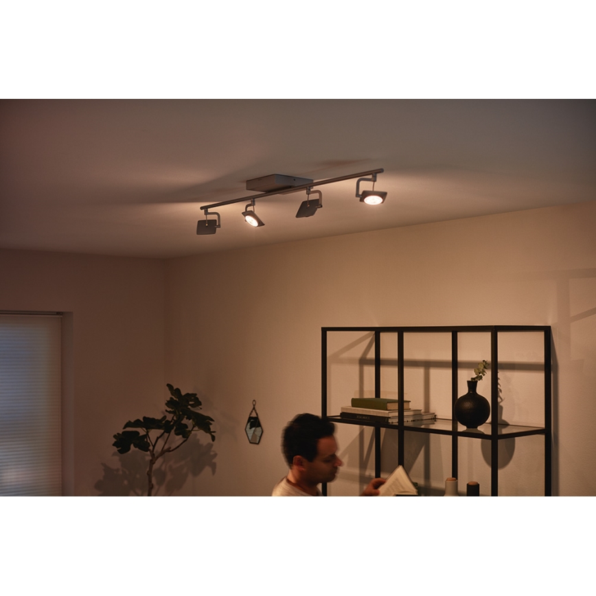 Philips 53194/48/P0 - Точковий LED світильник MILLENNIUM 4xLED/4,5W/230V