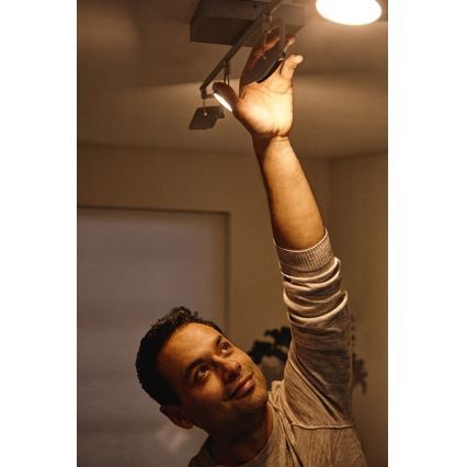 Philips 53194/48/P0 - Точковий LED світильник MILLENNIUM 4xLED/4,5W/230V