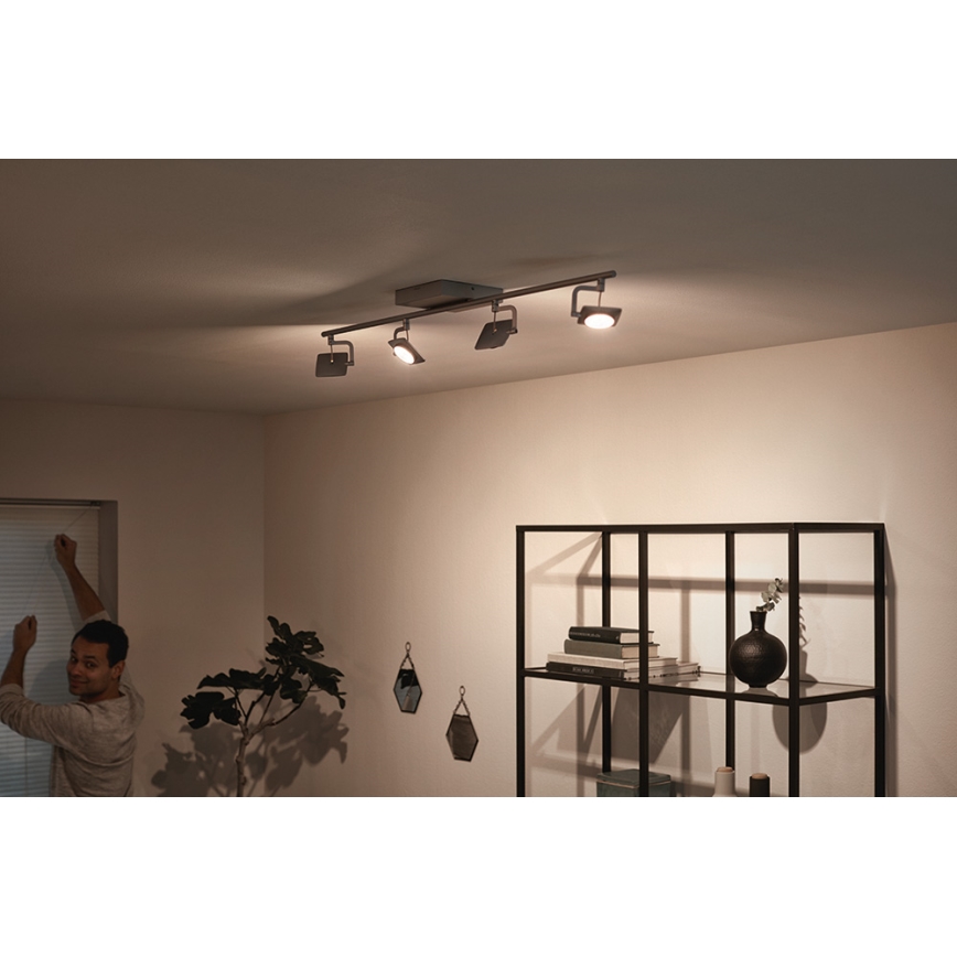 Philips 53194/48/P0 - Точковий LED світильник MILLENNIUM 4xLED/4,5W/230V