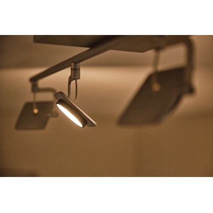 Philips 53194/48/P0 - Точковий LED світильник MILLENNIUM 4xLED/4,5W/230V