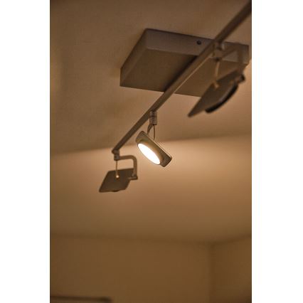 Philips 53194/48/P0 - Точковий LED світильник MILLENNIUM 4xLED/4,5W/230V