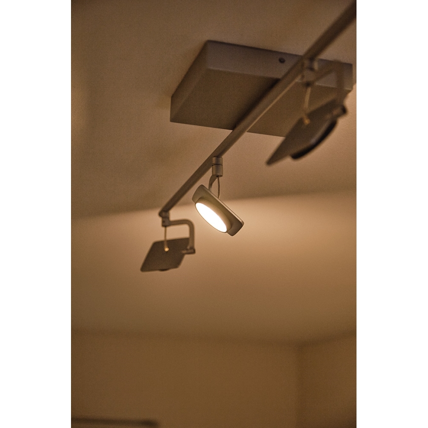 Philips 53194/48/P0 - Точковий LED світильник MILLENNIUM 4xLED/4,5W/230V