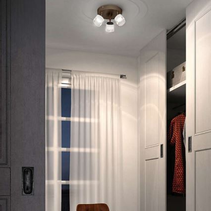 Philips - Светодиодный точечный светильник 3xLED/4W/230V
