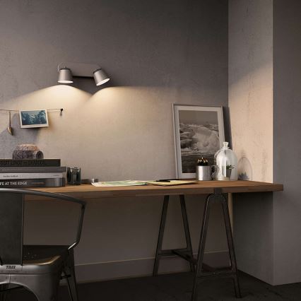 Philips - Светодиодный точечный светильник 2xLED/4W/230V