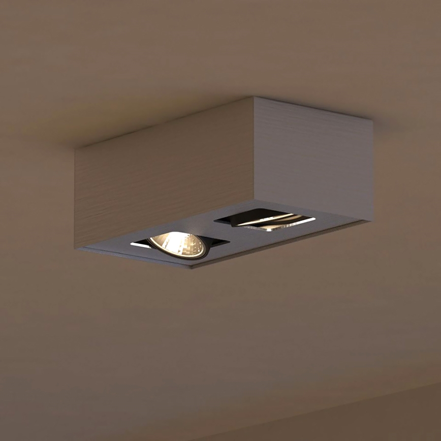 Philips 56232/48/PN - Точковий LED світильник TEMPO 2xGU10/6W/230V