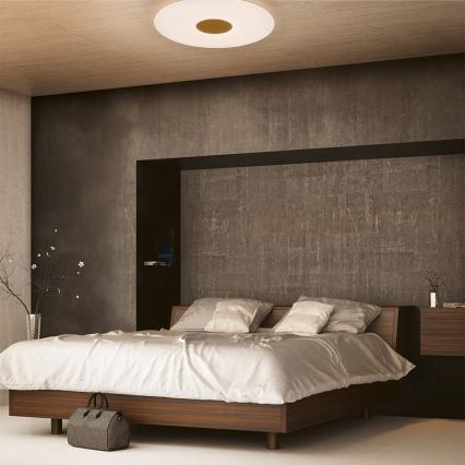 Philips - Світлодіодний стельовий світильник з регульованою яскравістю LED/30W/230V + пульт дистанційного керування