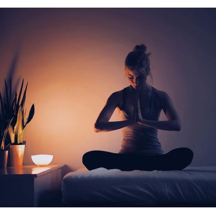 Philips - Настольная лампа с регулированием яркости Hue GO 1xLED/6W/RGB
