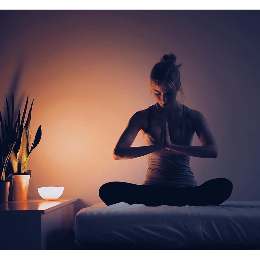 Philips - Настольная лампа с регулированием яркости Hue GO 1xLED/6W/RGB