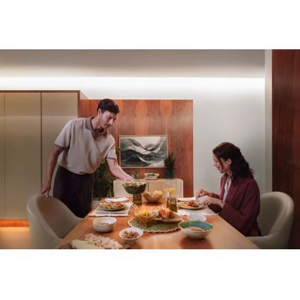 Philips - диммируемая RGBW LED-лента Hue FLUX 10m LED/60W/230V 2200-6500K