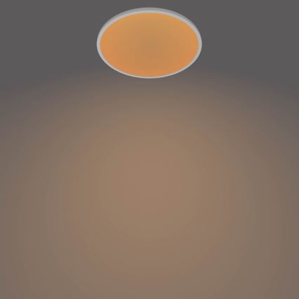 Philips - диммируемый потолочный светильник CLEAR LED/18W/230V 2700K