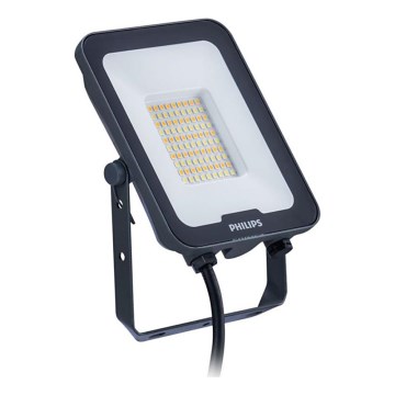 Philips - LED прожектор LEDINAIRE ALL-IN LED/30W/230V 3000/4000/6500K IP65