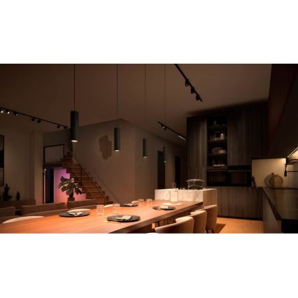 Philips - Підвісна LED RGB люстра з регулюванням яскравості для трекової системи Hue PERIFO LED RGB/5,2W/24V 2000-6500K