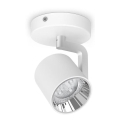 Philips - LED точковий світильник з регульованою яскравістю LED/4.5W/230V