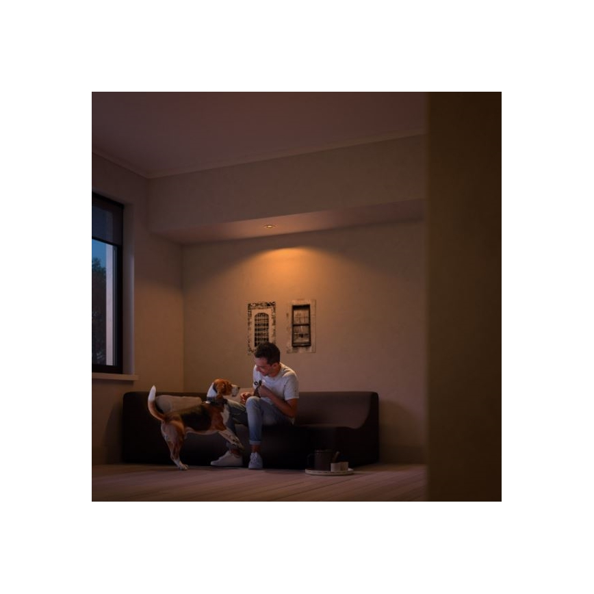 Philips 50201/17/P0 - LED Вбудований стельовий світильник з регулюванням яскравості SHELLBARK Warm Glow 1xLED/4,5W/230V 2200-2700K