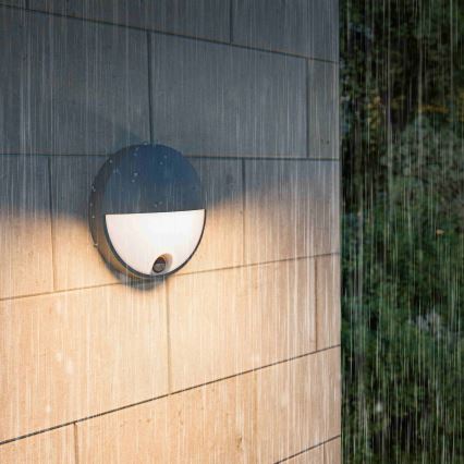 Philips - LED зовнішній настінний світильник з датчиком CAPRICORN LED/4,3W/230V IP44