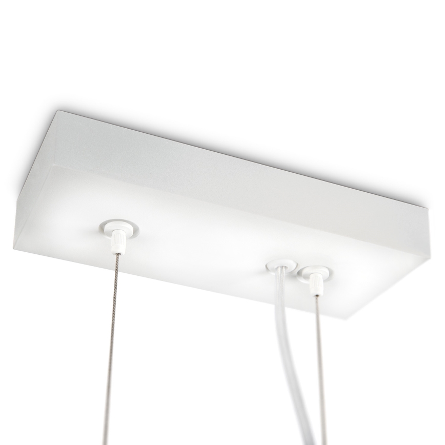 Philips Lirio 40609/31/16 - Світлодіодна підвісна люстра з регульованою яскравістю CIRCULIS 3xLED/13W/230V