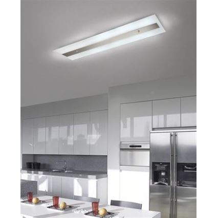 Philips Massive 85115/14/31 - Люмінесцентний світильник DECOLINE 2xG5/14W/230V