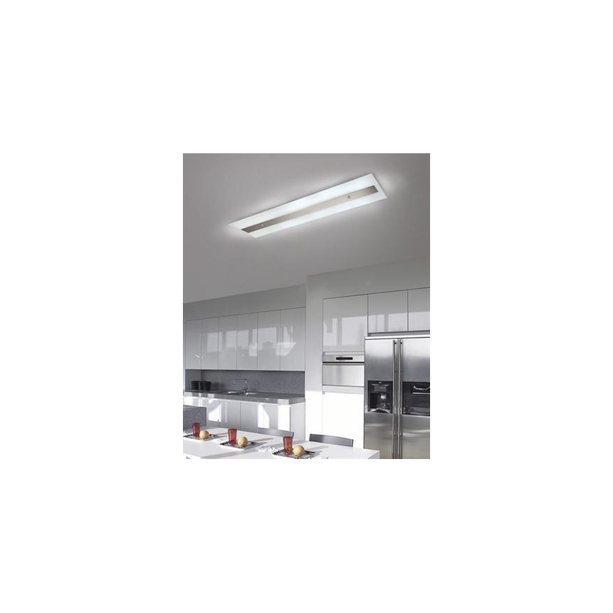 Philips Massive 85115/14/31 - Люмінесцентний світильник DECOLINE 2xG5/14W/230V