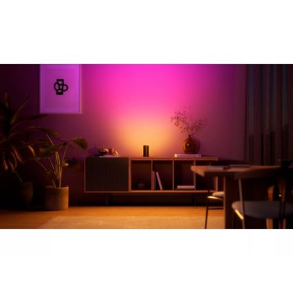 Philips - набор из 2 шт. RGBW светодиодных диммируемых проекционных светильников Hue PLAY, LED, 20 Вт, 230 В, 2000–6500 К, черный