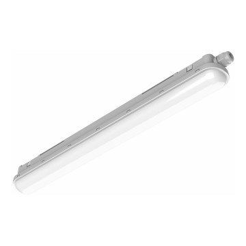 Philips Pila - LED технічний люмінесцентний світильник LED/40W/230V 120 cm IP65