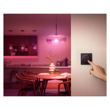Philips - пульт ДК з перемикачем Hue TAP 1xCR2032 чорний