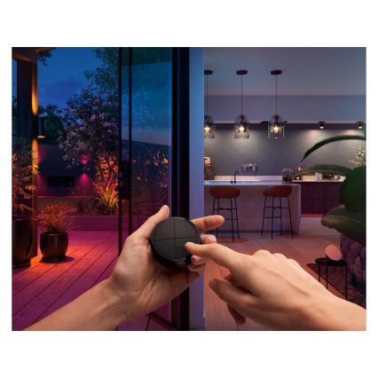 Philips - пульт ДК з перемикачем Hue TAP 1xCR2032 чорний